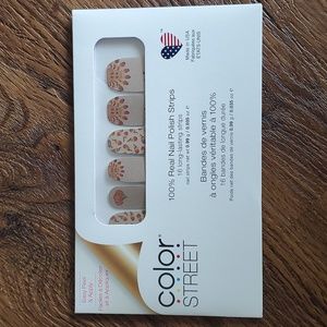 Color Street Nails - Feathered Friends